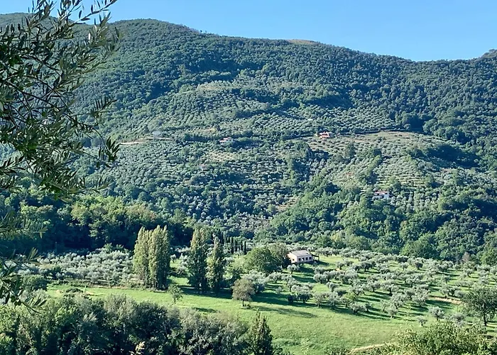 Agriturismo La Terrazza Su Farfa