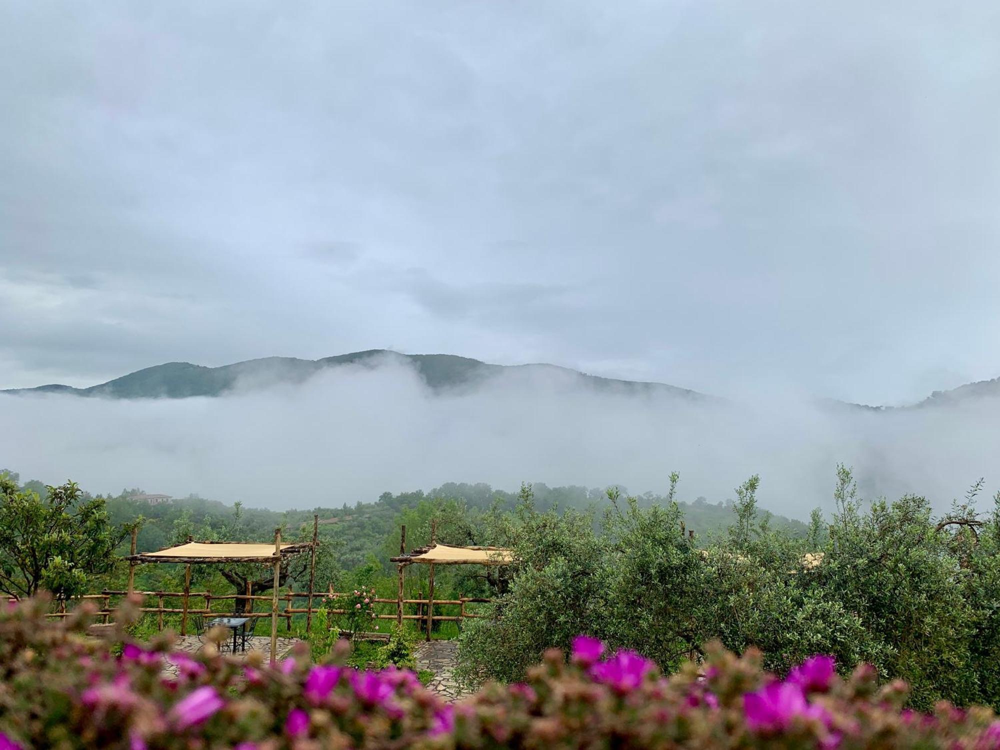 La Terrazza Su Farfa