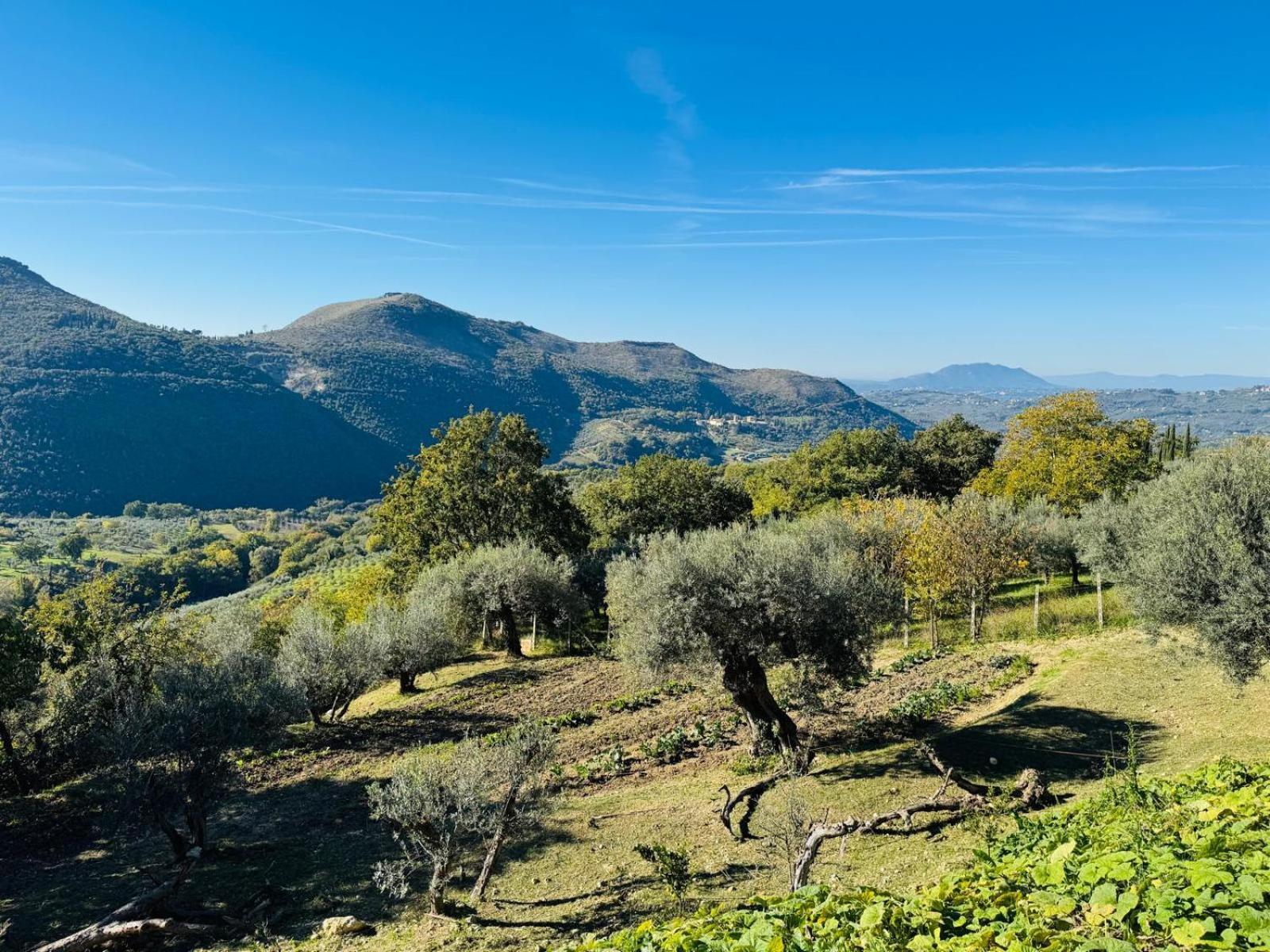 Farm stay La Terrazza Su Farfa