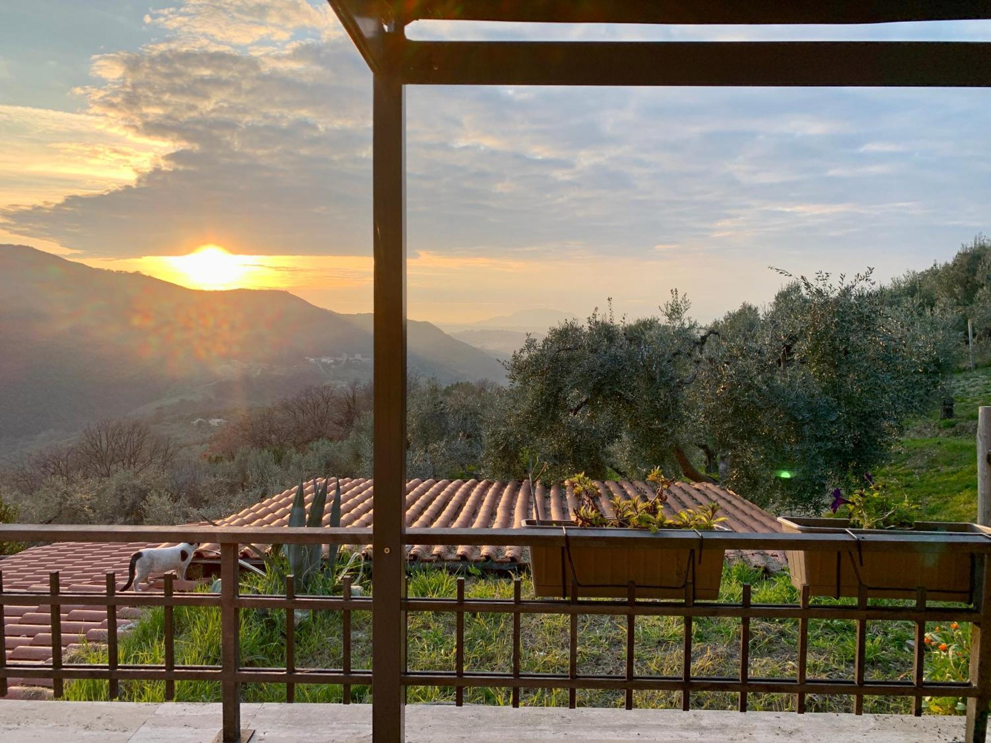 La Terrazza Su Farfa Alloggio per agriturismo