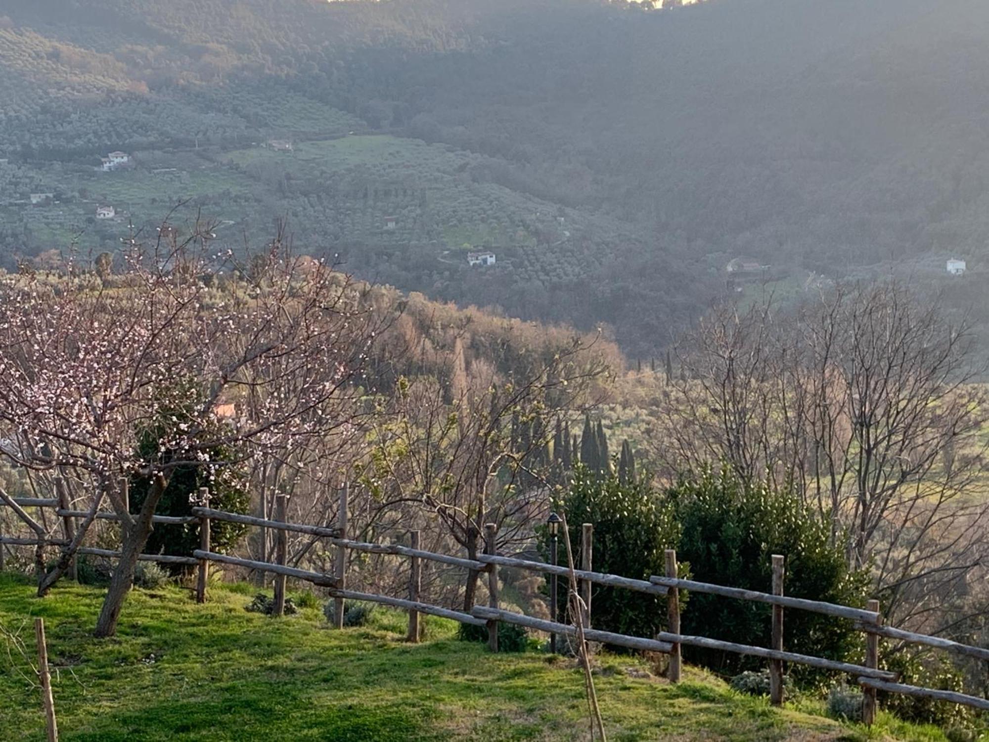 La Terrazza Su Farfa Alloggio per agriturismo