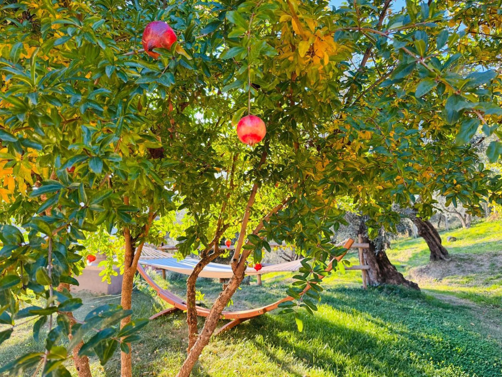 La Terrazza Su Farfa Alloggio per agriturismo