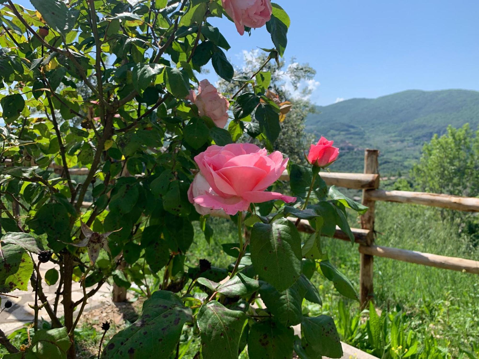 La Terrazza Su Farfa Castelnuovo di Farfa