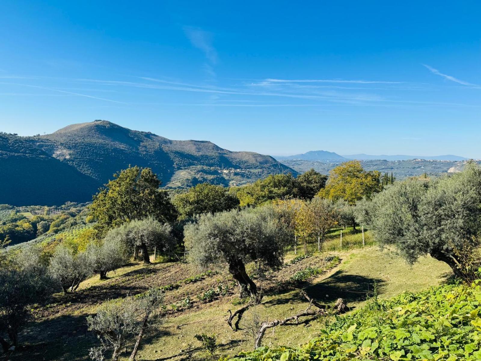 Alloggio per agriturismo La Terrazza Su Farfa *