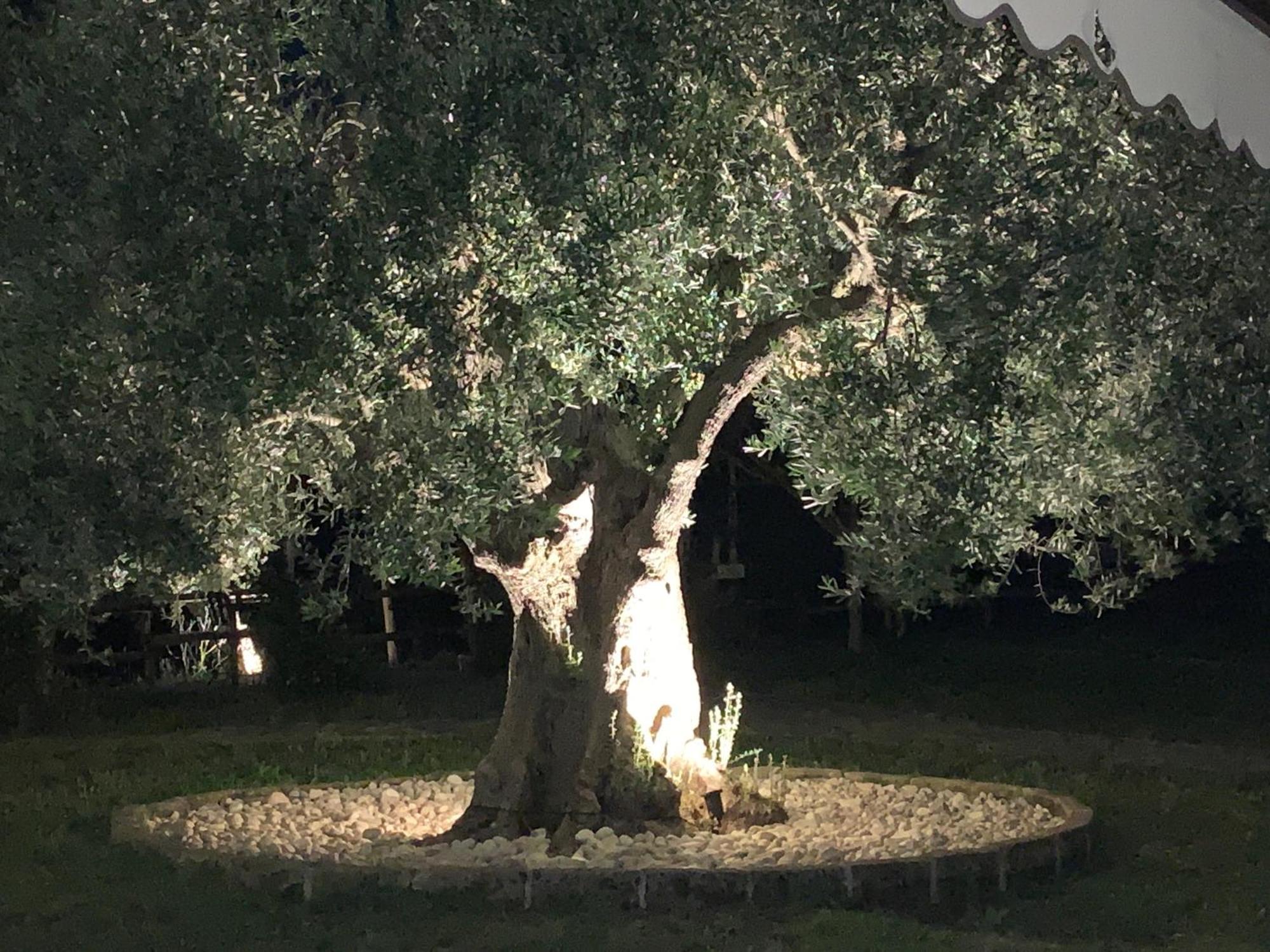 La Terrazza Su Farfa Alloggio per agriturismo Castelnuovo di Farfa