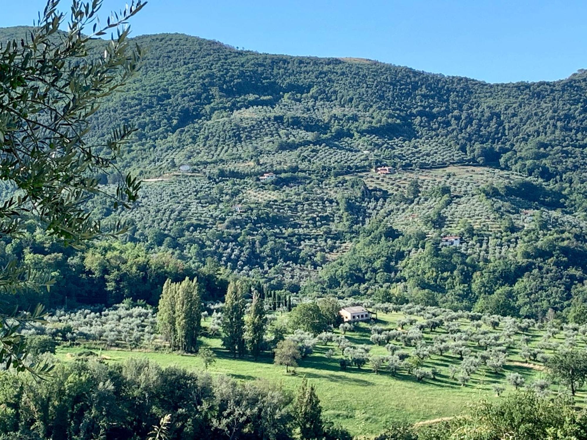La Terrazza Su Farfa