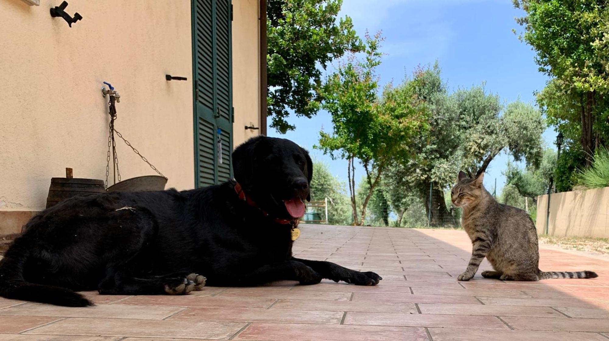 La Terrazza Su Farfa Castelnuovo di Farfa