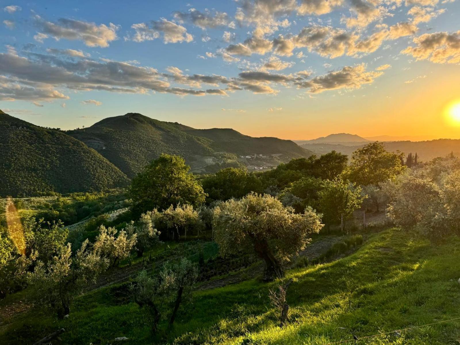 La Terrazza Su Farfa Alloggio per agriturismo