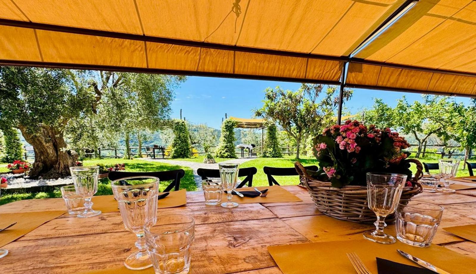 La Terrazza Su Farfa Alloggio per agriturismo